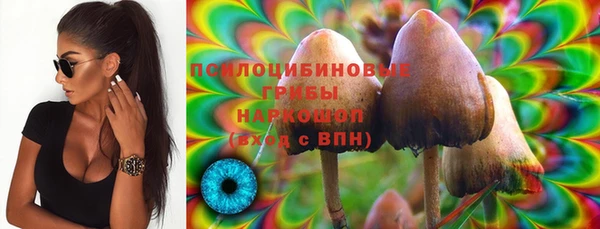 марки nbome Бородино