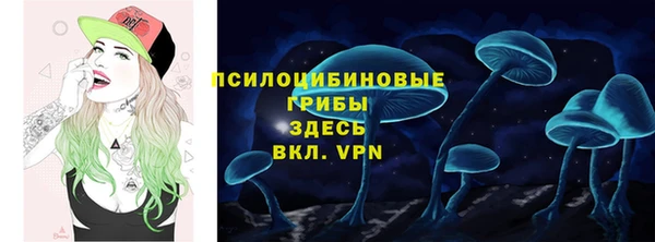 марки nbome Бородино