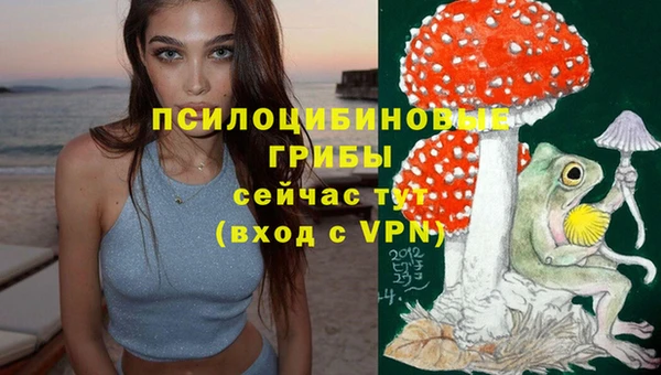 марки nbome Бородино