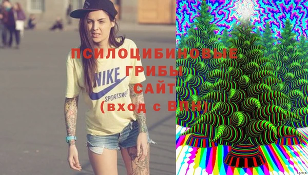 марки nbome Бородино