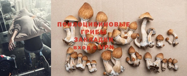 прущий лед Бронницы